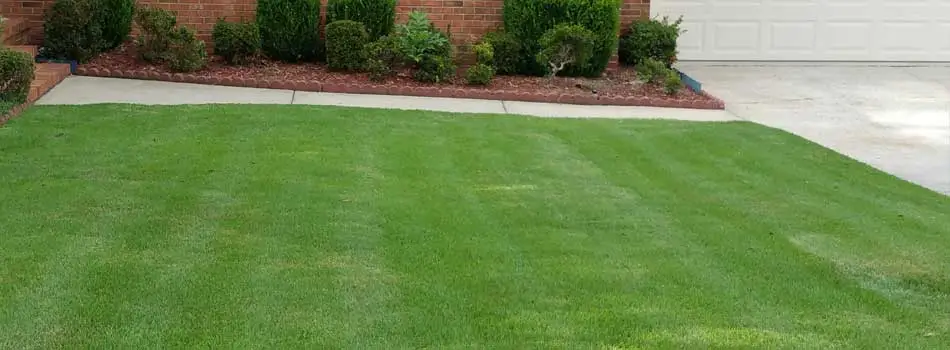 A healthy green front lawn at a home in Evans that receives ongoing lawn care maintenance services. 