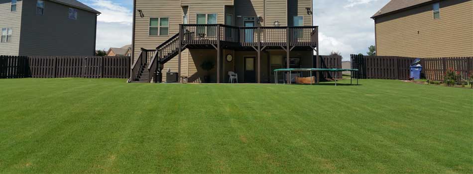 Back yard at a home in Martinez, GA that has been professionally mowed by QuickCall Services.
