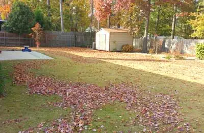 Fall leaves in the backyard of a home in Evans, GA.